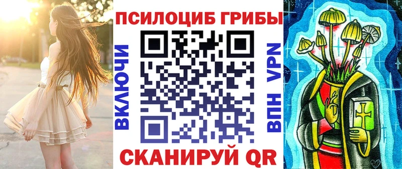 Псилоцибиновые грибы мицелий  где можно купить   Гатчина 